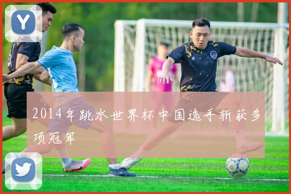 2014年跳水世界杯中国选手斩获多项冠军