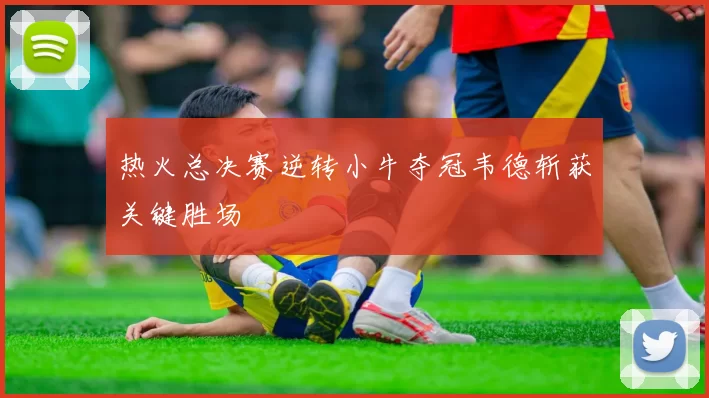 热火总决赛逆转小牛夺冠韦德斩获关键胜场