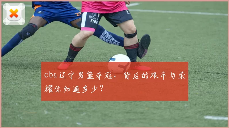 cba辽宁男篮夺冠,背后的艰辛与荣耀你知道多少?